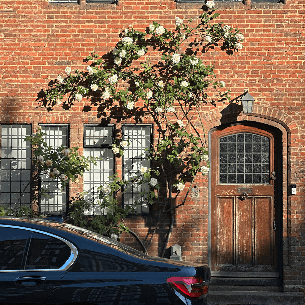 Our Visit to the Chelsea Flower Show: What We Saw, Loved, and Learnt