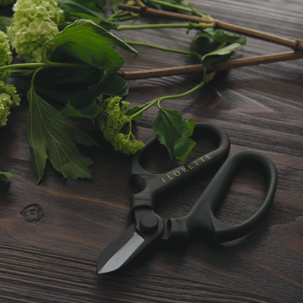 Floristry Scissors - Green with Black Blade