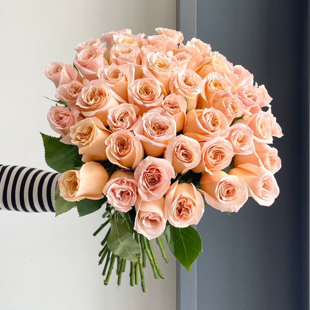 Roses - Shimmer Peach (50 Stems)