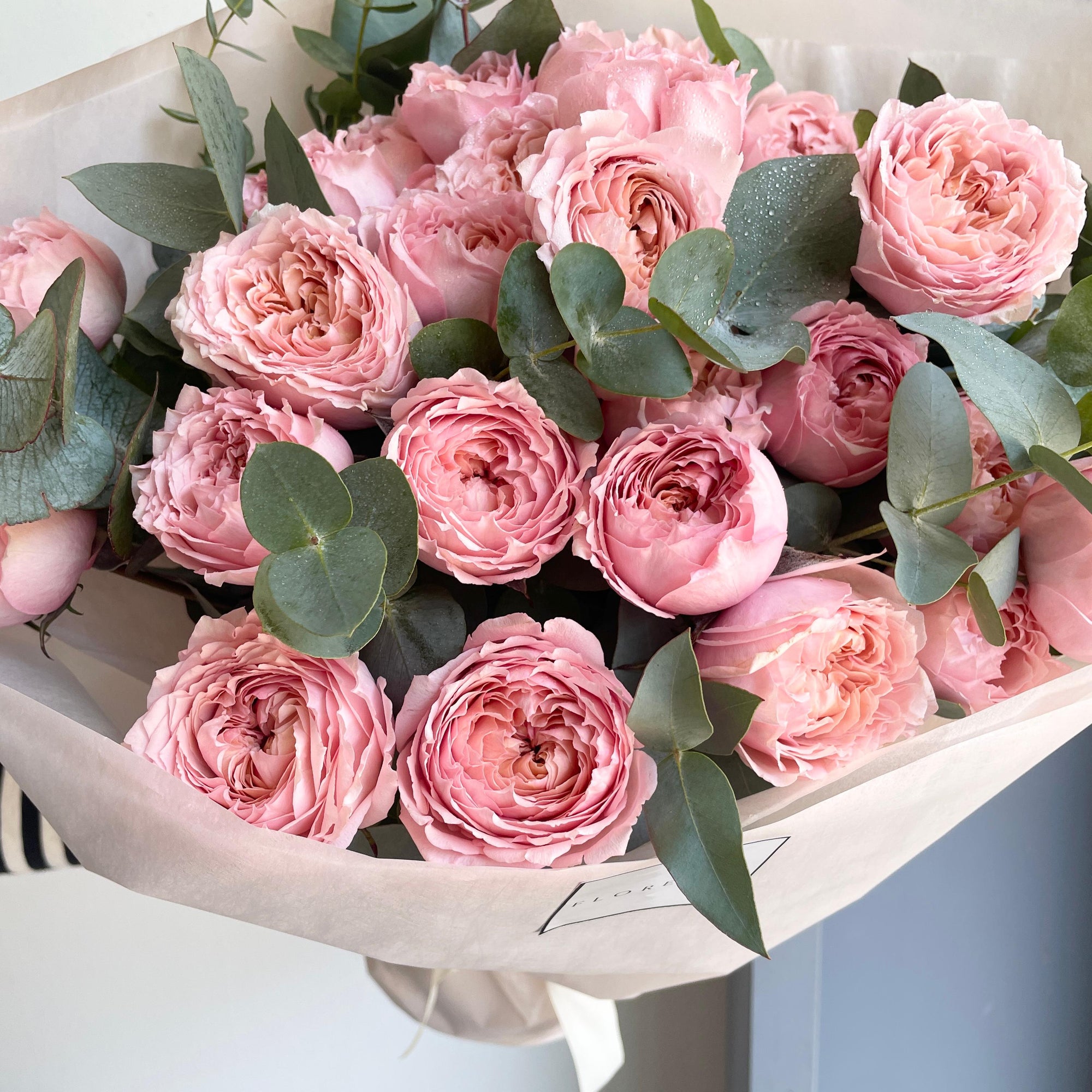 Spray Rose - Blushing Beauty
