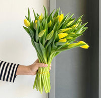 Florette_Yellow_STRONG_GOLD_Tulips_market_flowers_2022
