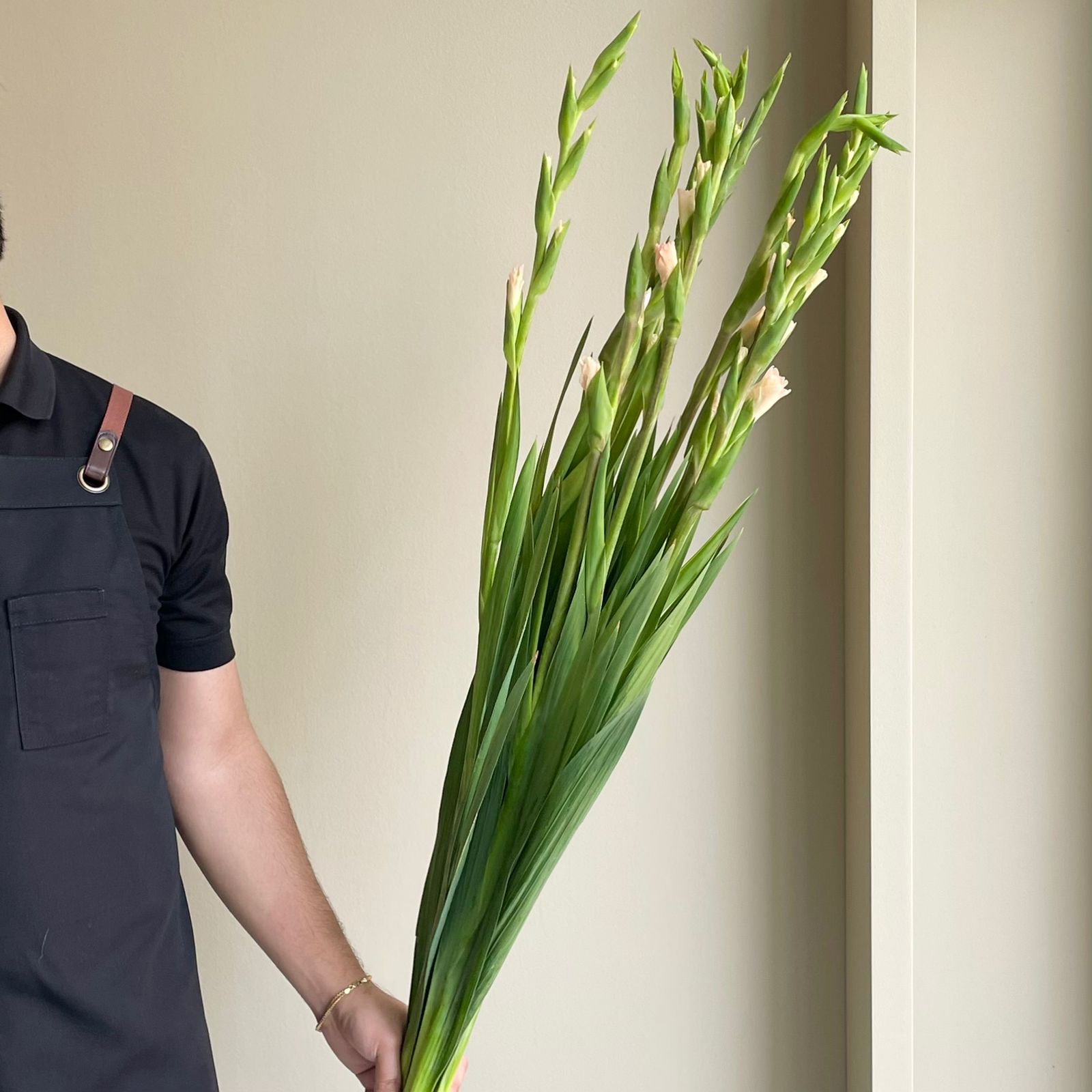 Gladioli - Jarama Peach