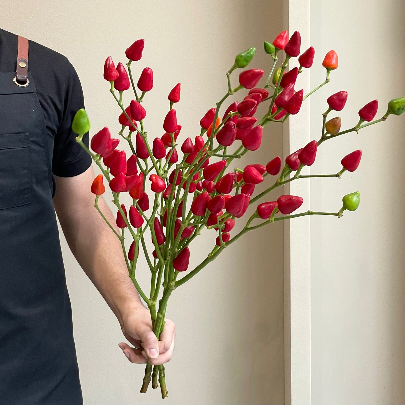 Capsicum Sierpepers Xmas (3 Stem)