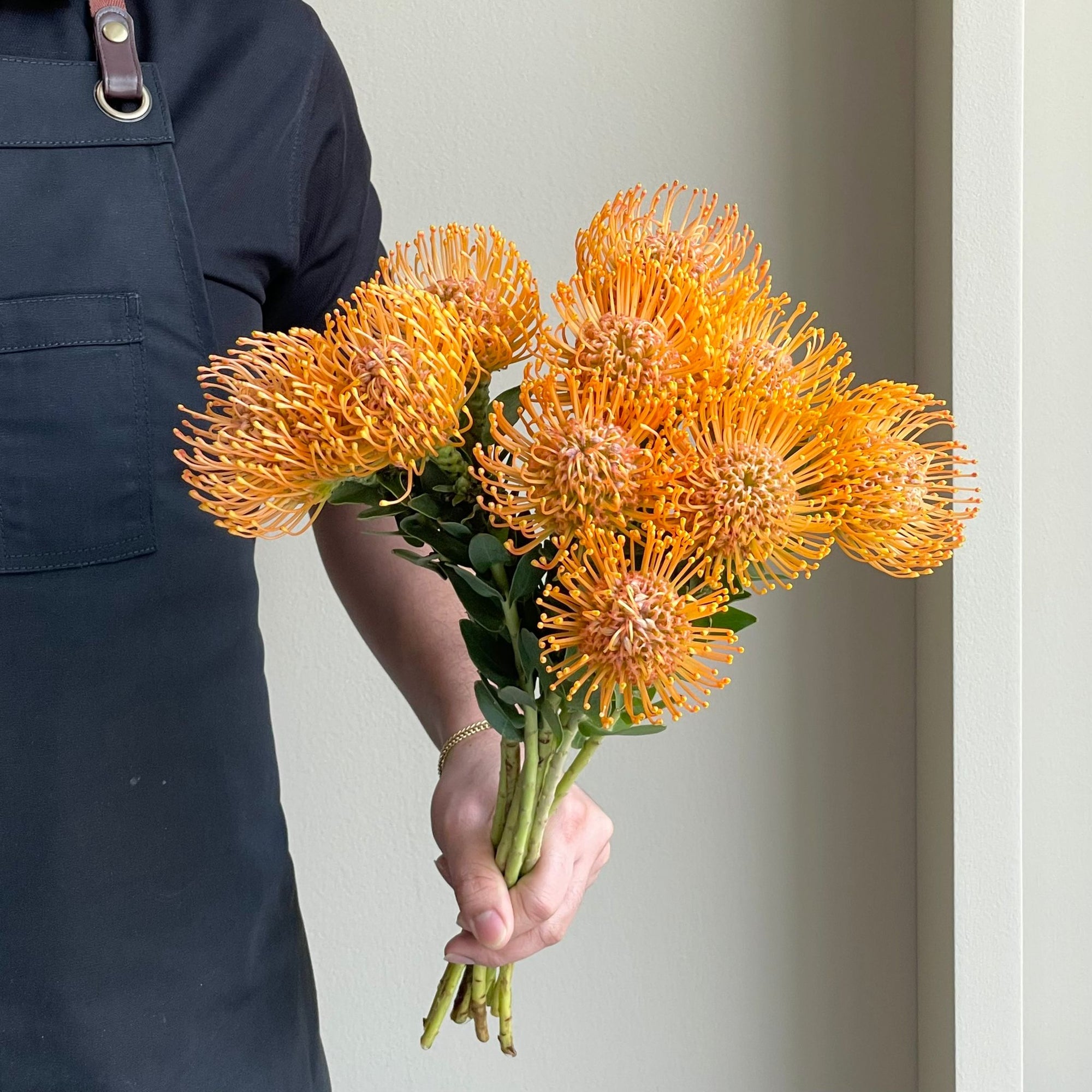 Leucospermum - Ayoba Orange (10 Stem)