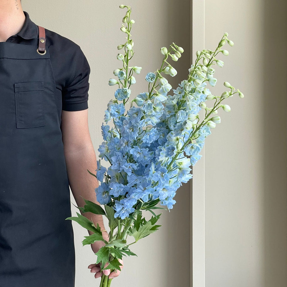Delphiniums - Light Blue (5 stems - 70cm)