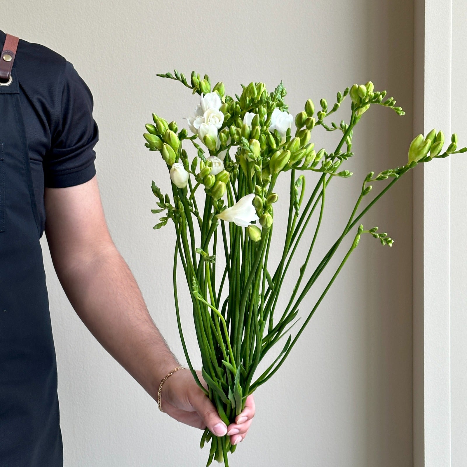 Freesias Double - Versailles White