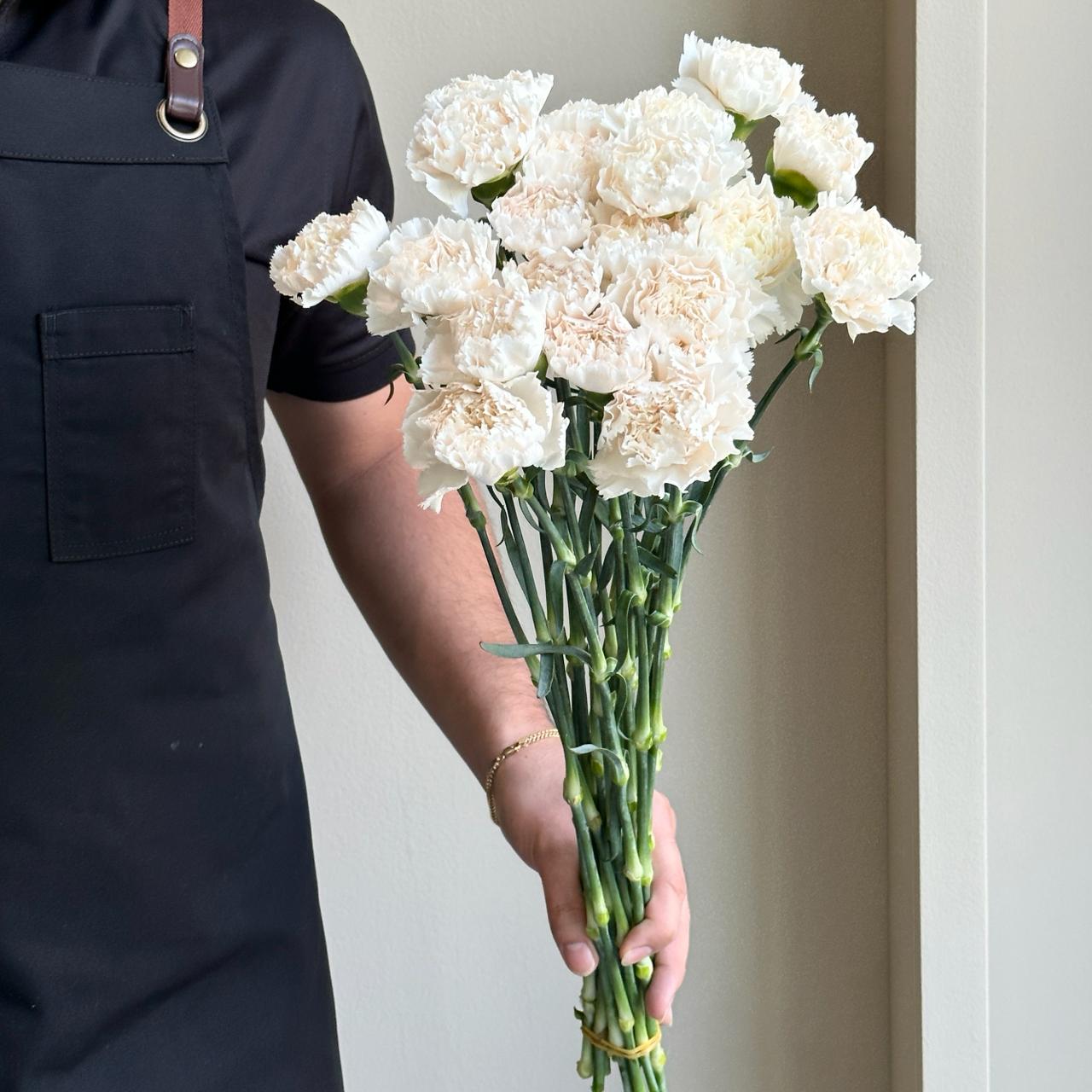 Carnations - Brut Blush