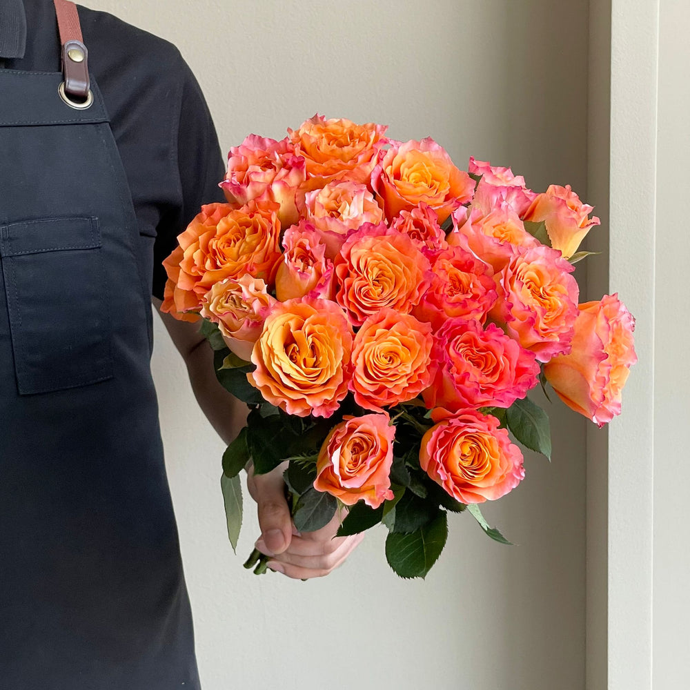 Roses - Free Spirit Orange