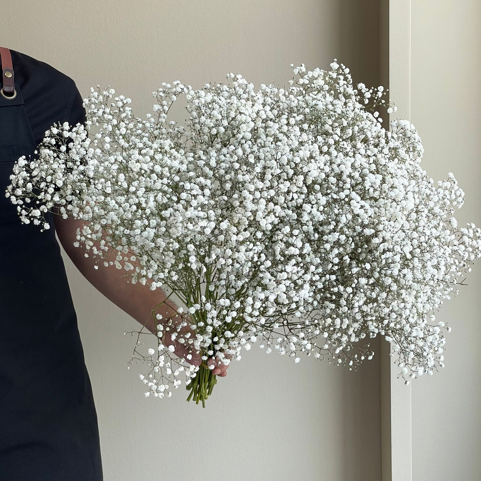 Gypsophilas Excellence White