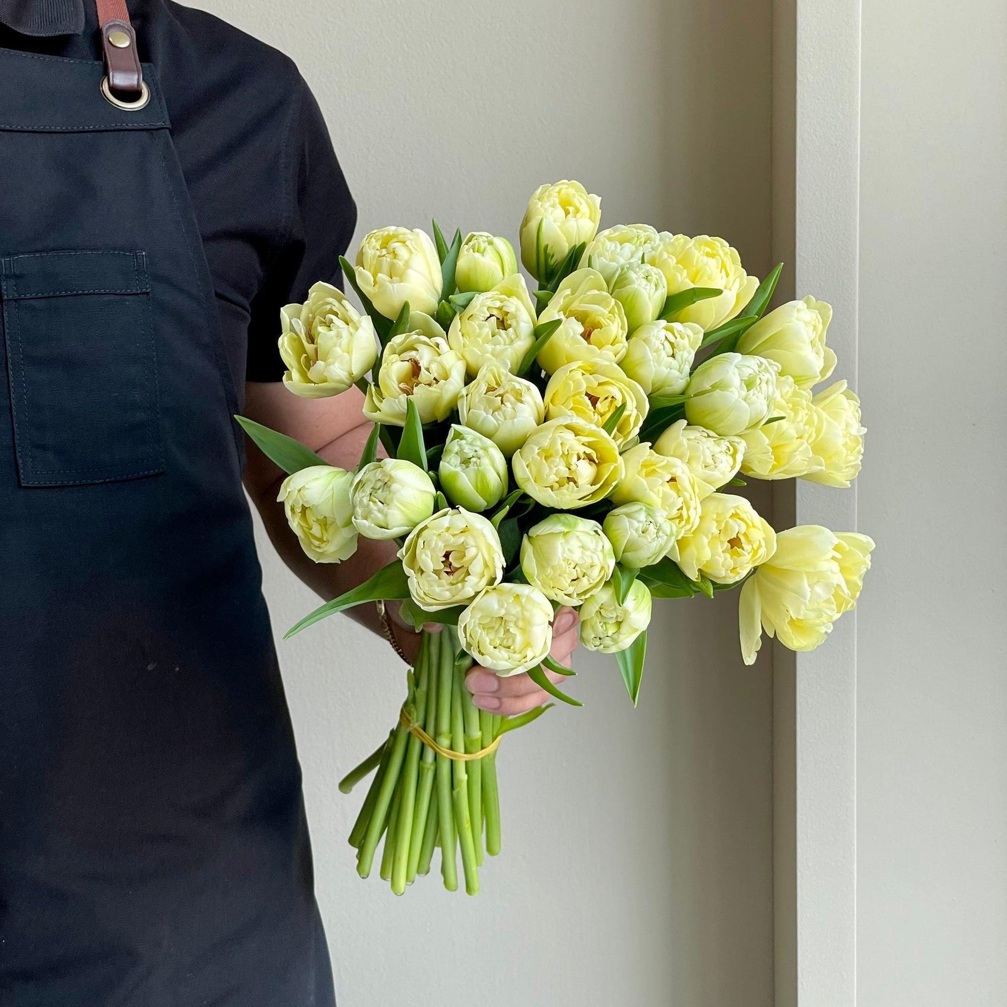 Tulips Double - Avant Garde Creme