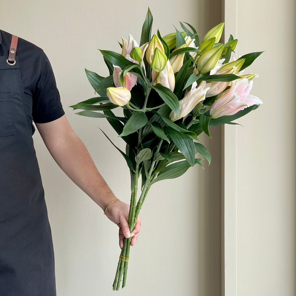 Lilies Oriental - Catemaco Rose Pink