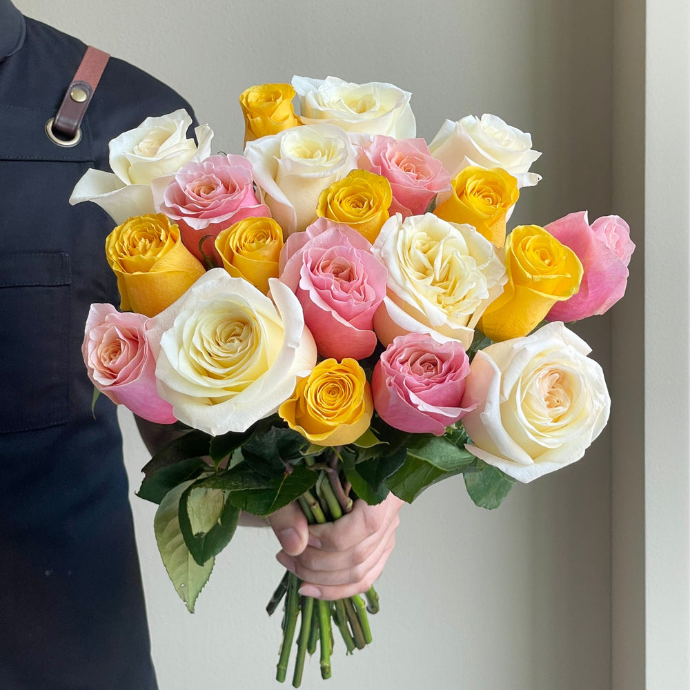 Roses Mixed - Majestic Flare