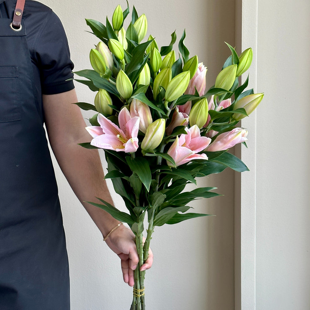 Lilies Oriental - Vendome Rose Pink