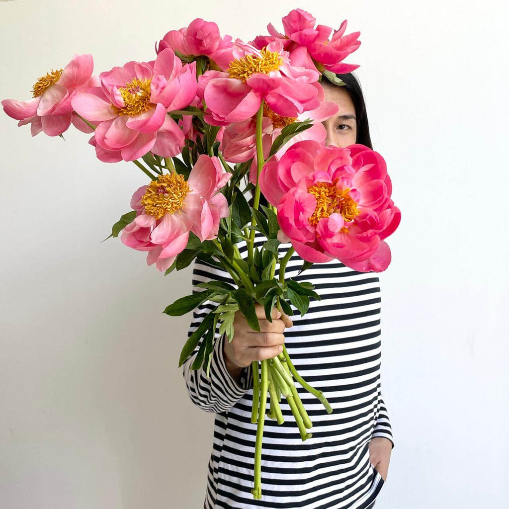Caring for Peonies