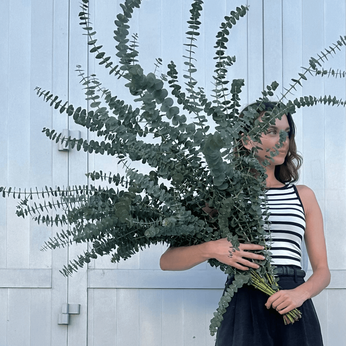 Refresh Your Shower: Hanging eucalyptus in your shower