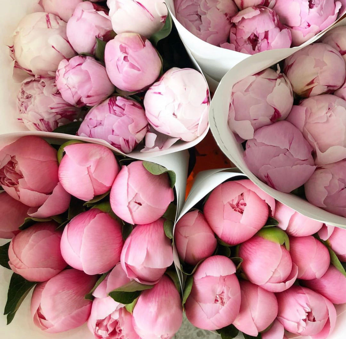 Flower Delivery Dubai