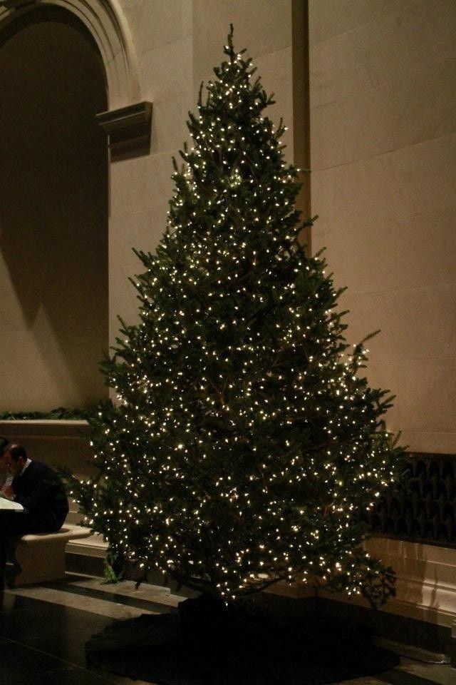 The Florette Christmas Glow - Let There Be Light (1.1m - 2.2m)