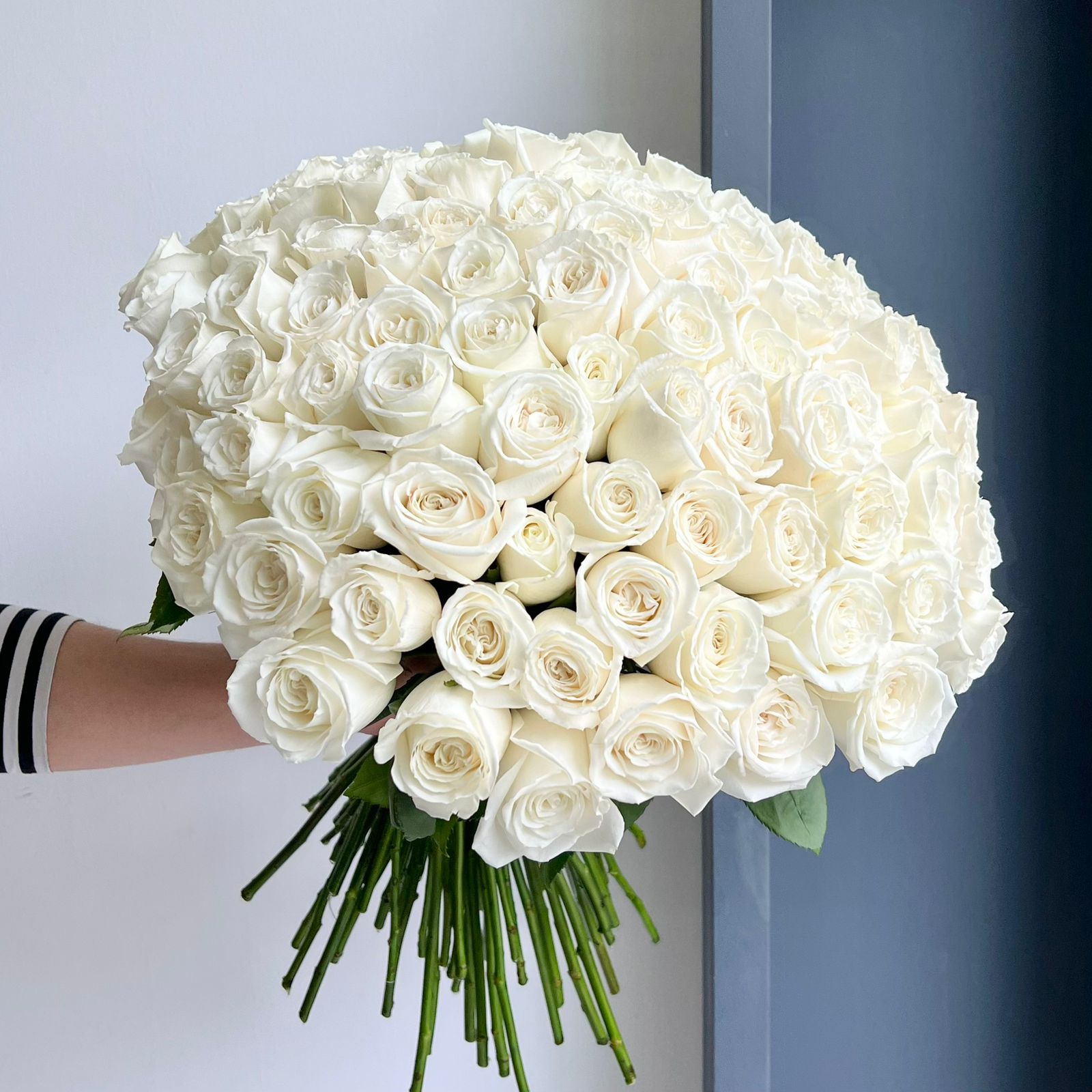 Roses - Beluga White (100 Stems)