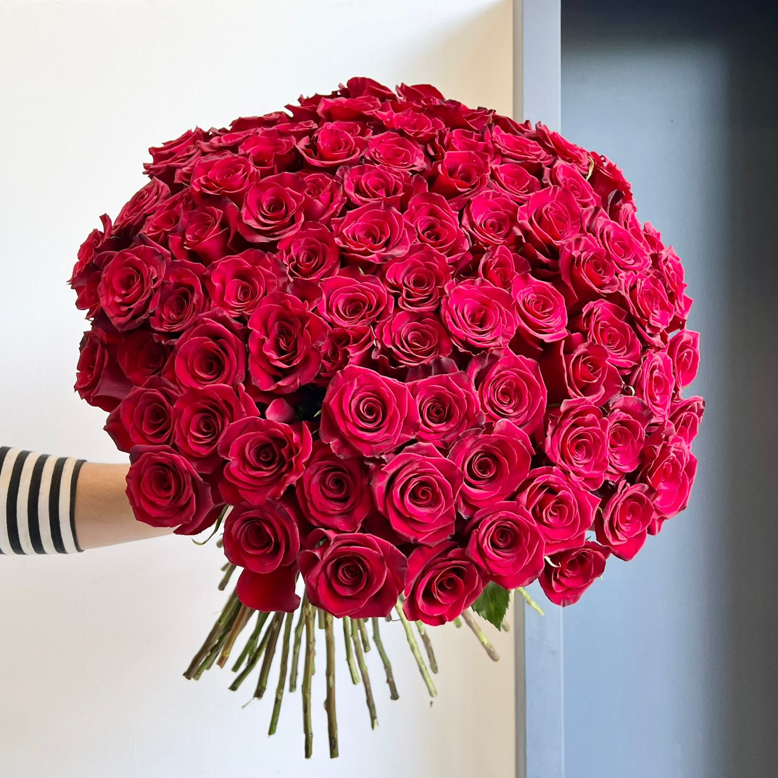 Roses - Red Paris (100 Stems)