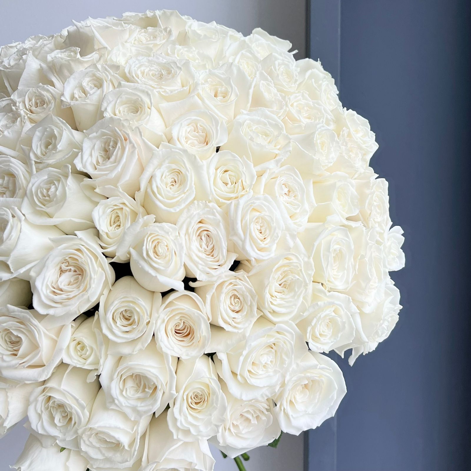 Roses - Beluga White (100 Stems)