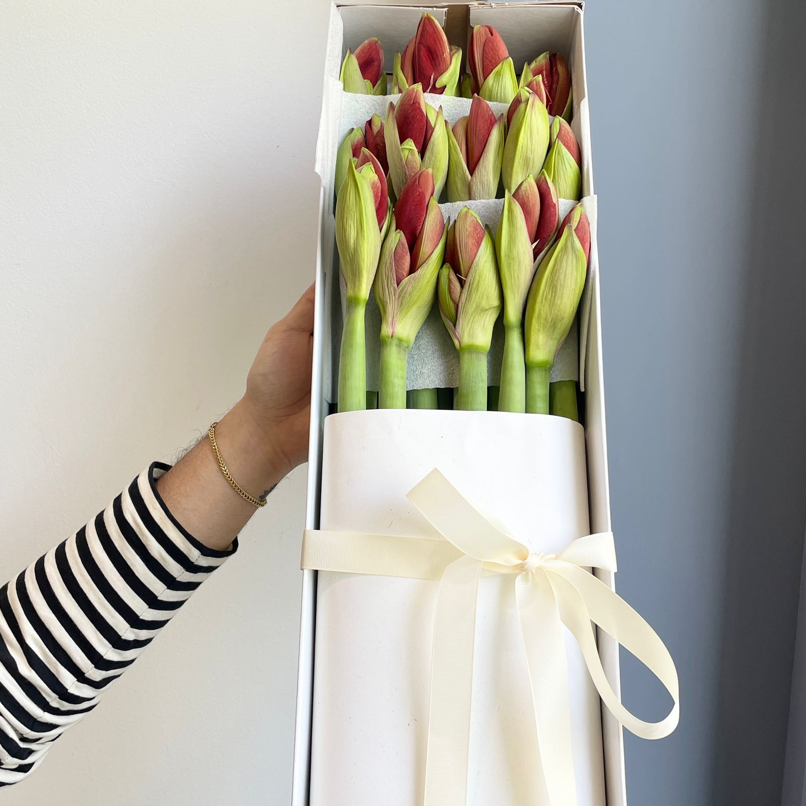 Amaryllis - Ferrari Red (15 Stems)