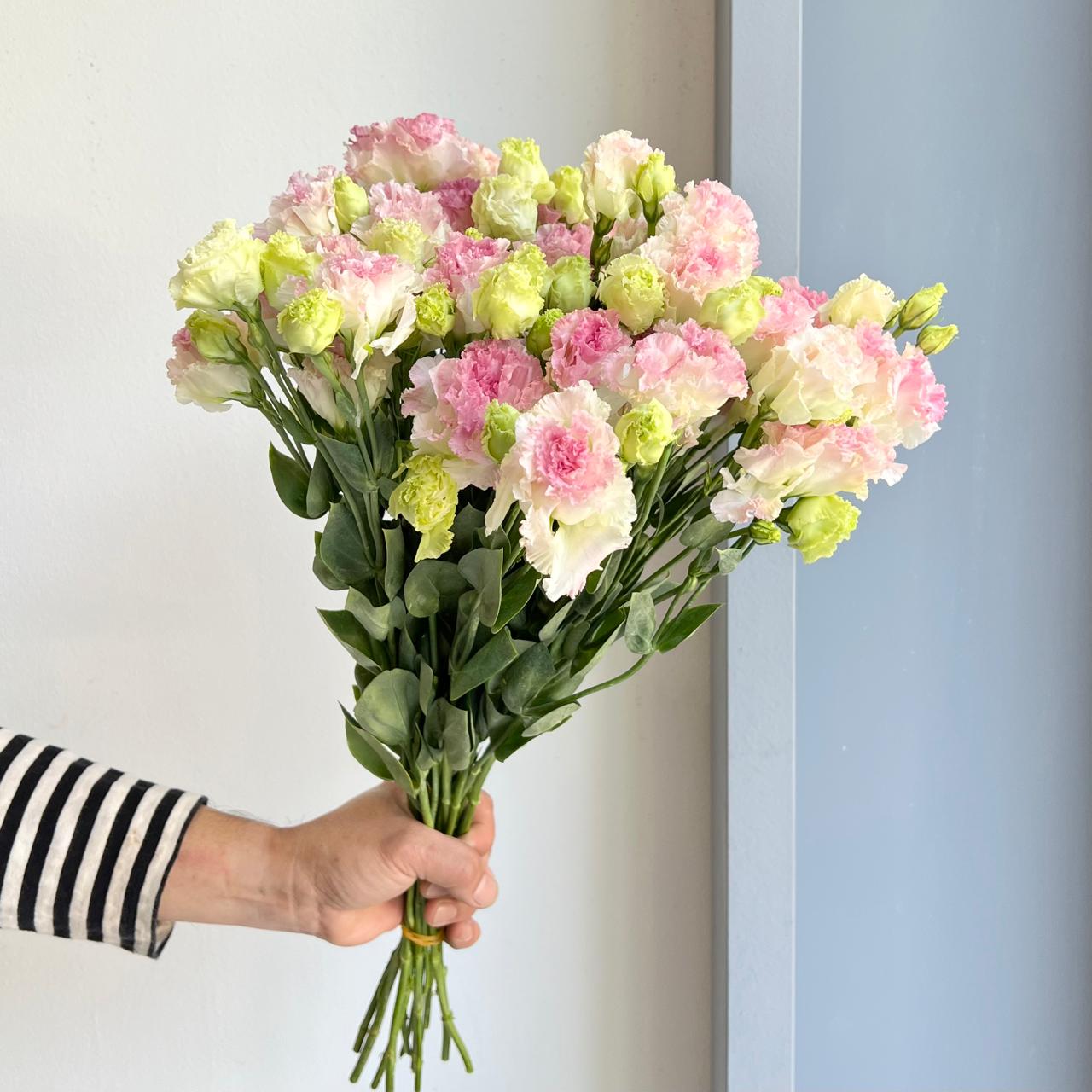 Lisianthus Double - Light Pink