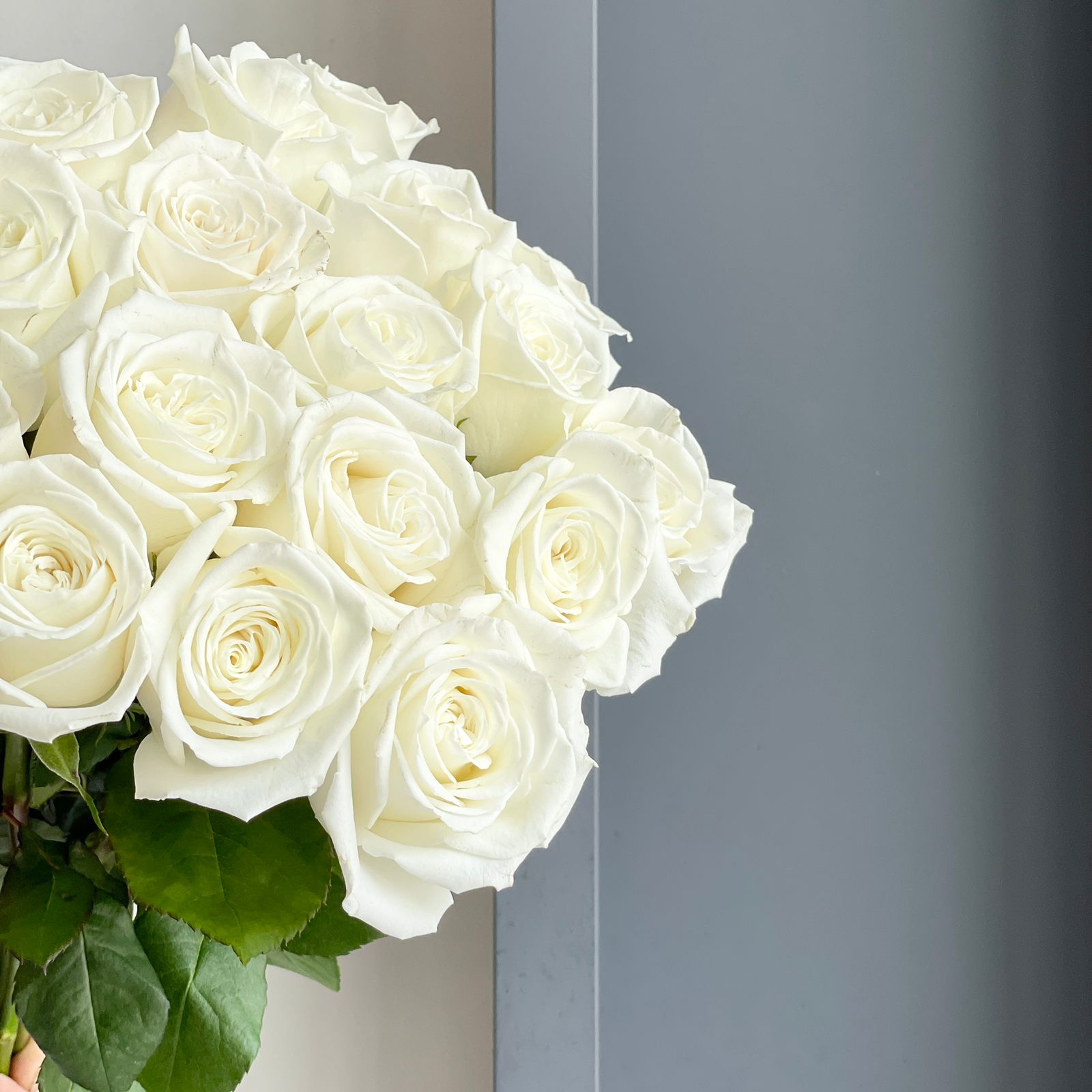 Roses - Beluga White (20 stems)