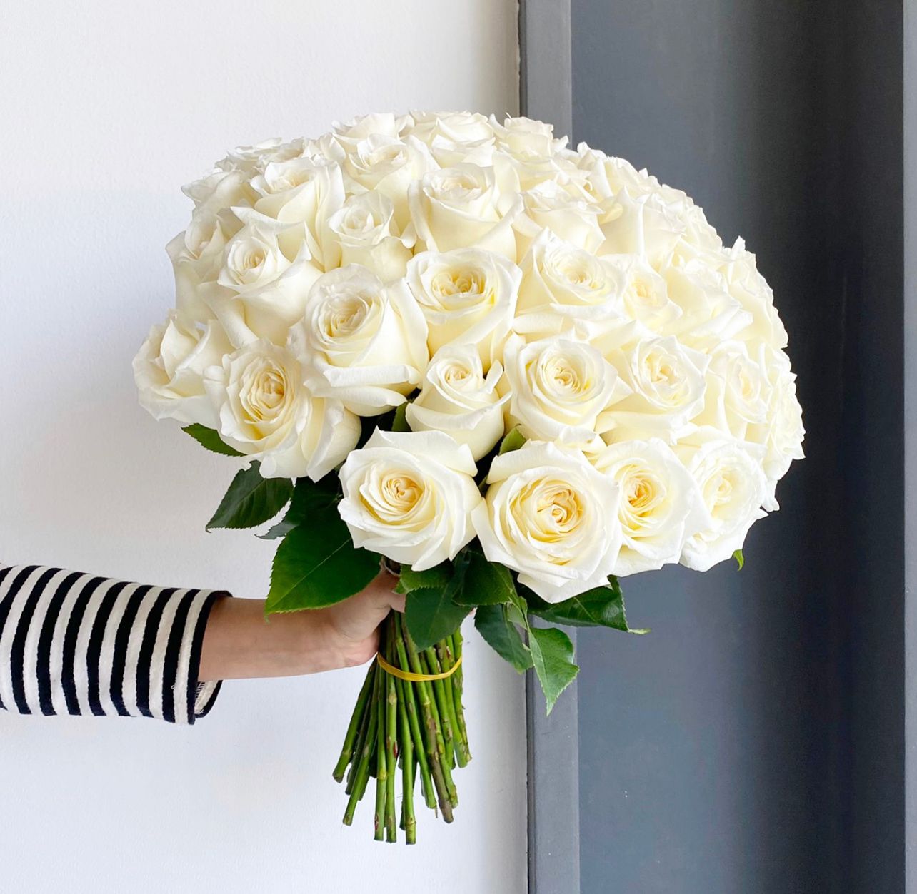 Roses - Champagne White (50 Stems)