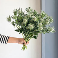 Florette_Eryngiums_Silver_50cm_market_flowers_2023