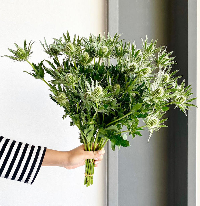 Flower Delivery Dubai, UAE 1 Online Flower Shop Florette