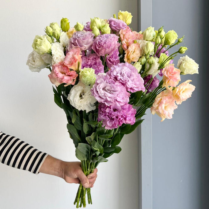 Florette_Flower_MarketLisianthus Double Mix - Pastel Whisper