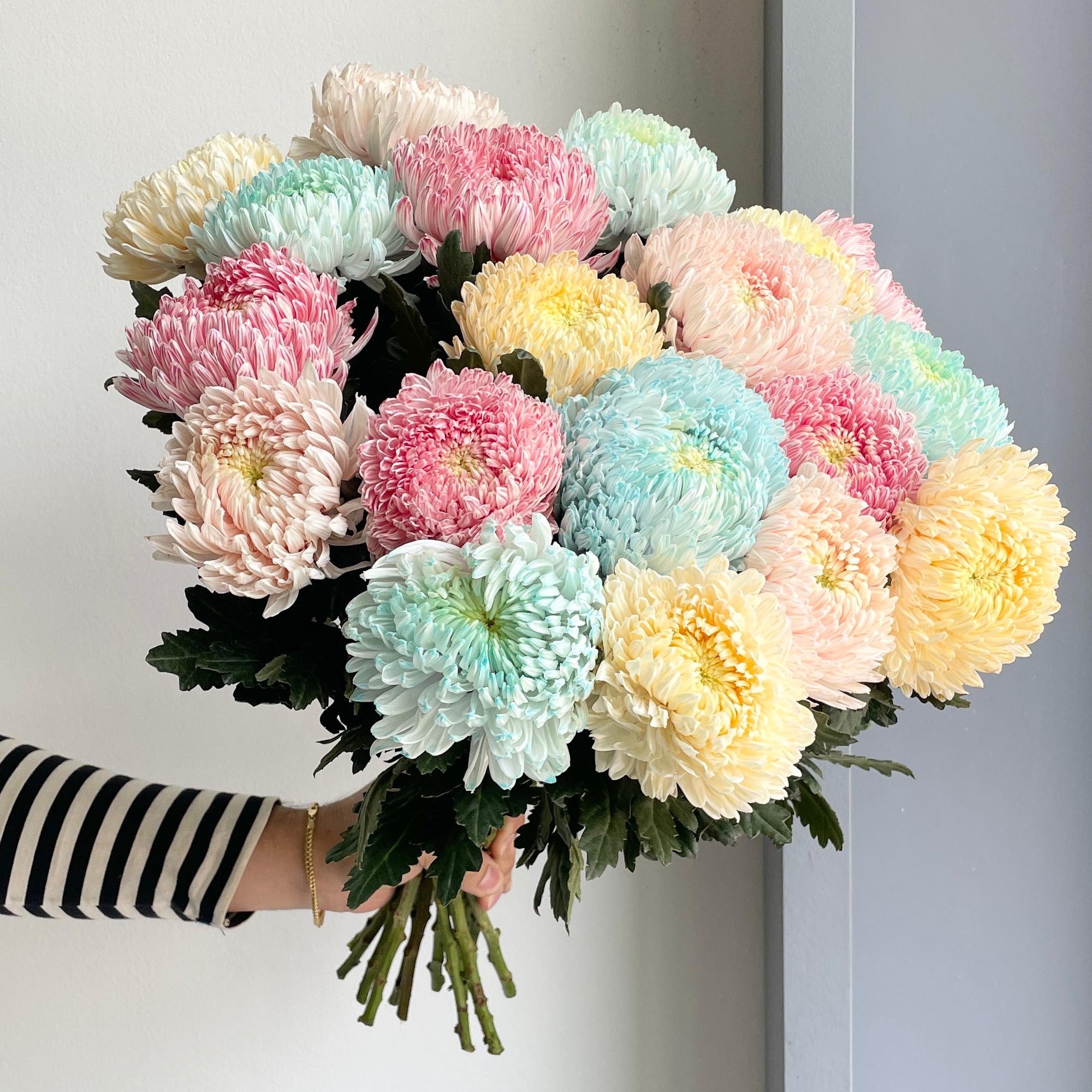 Chrysanthemum Peony - Rainbow Mix (20 Stem)