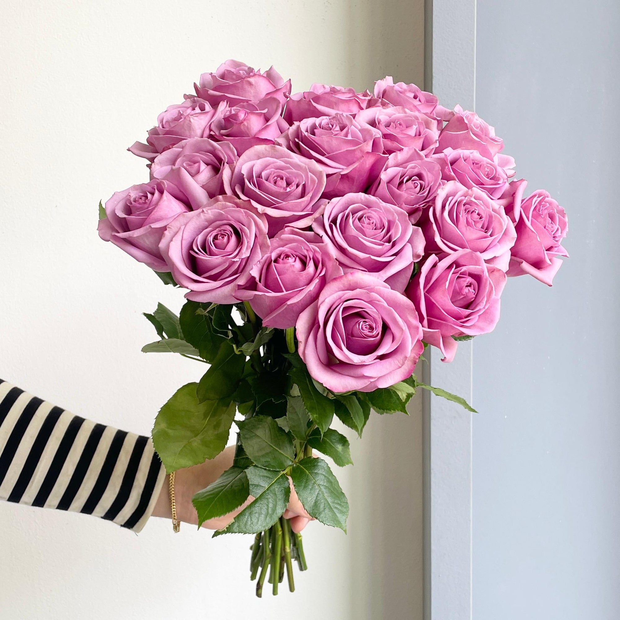 Roses - Cool Water Lavender