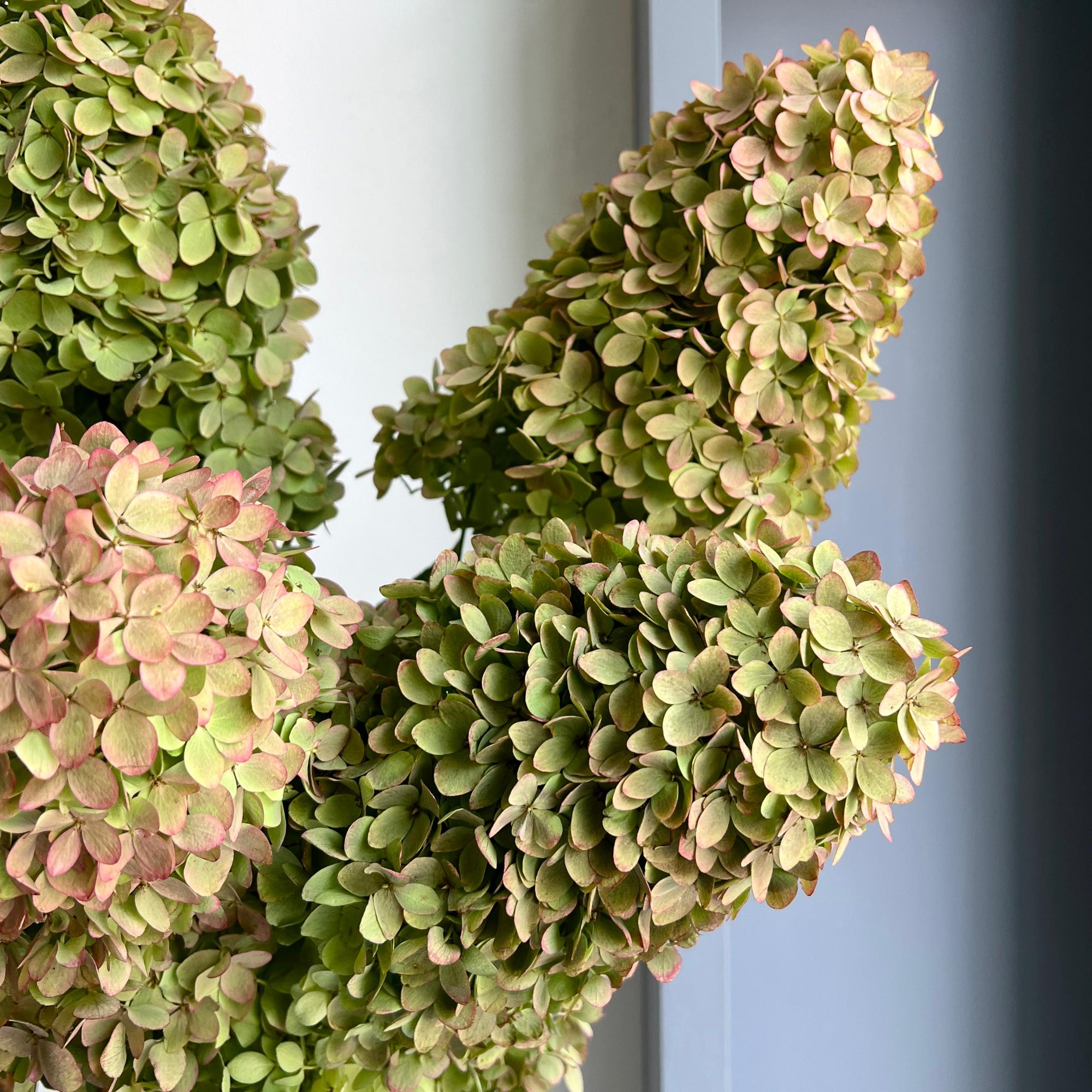 Hydrangea - Magical Candle Classic XL
