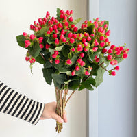 Florette_Flower_Market_Hypericum_Berries_Red-05-25-2025
