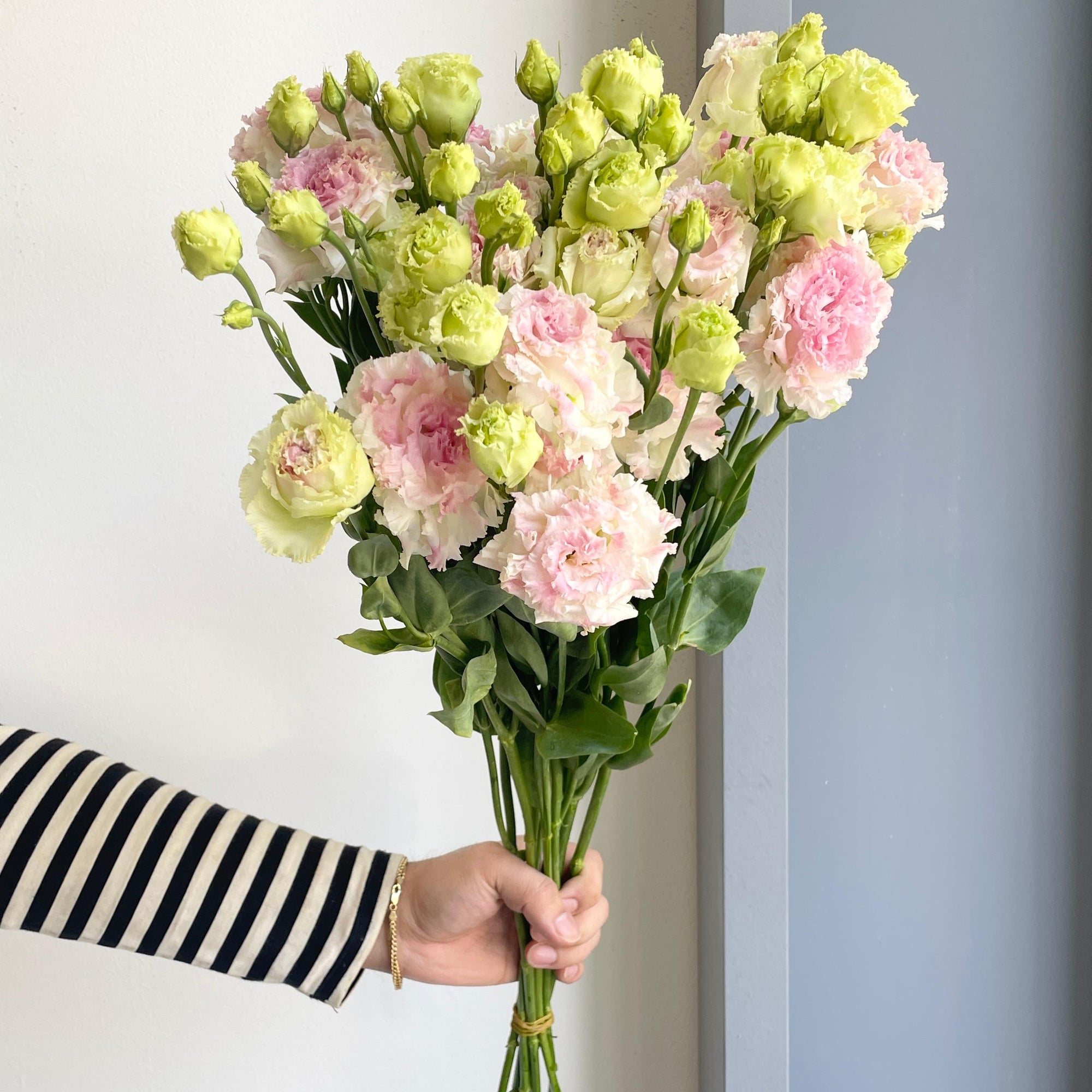 Lisianthus Double - Light Pink