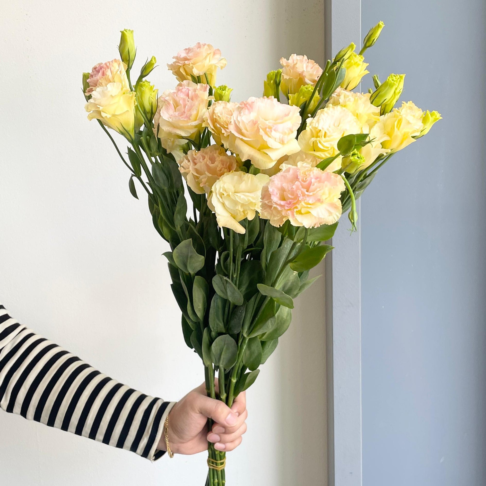 Lisianthus Double - Peach