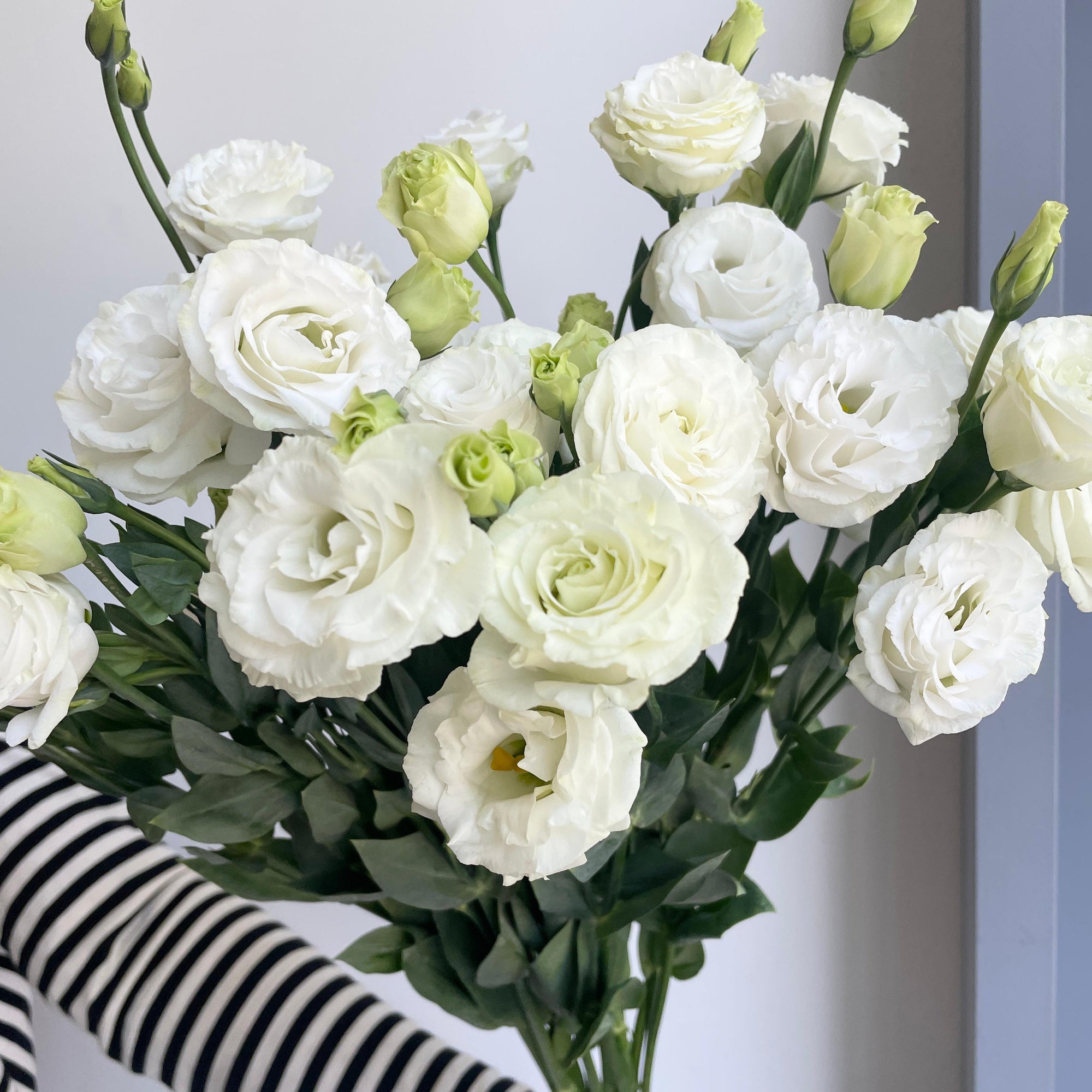 Lisianthus Double - White