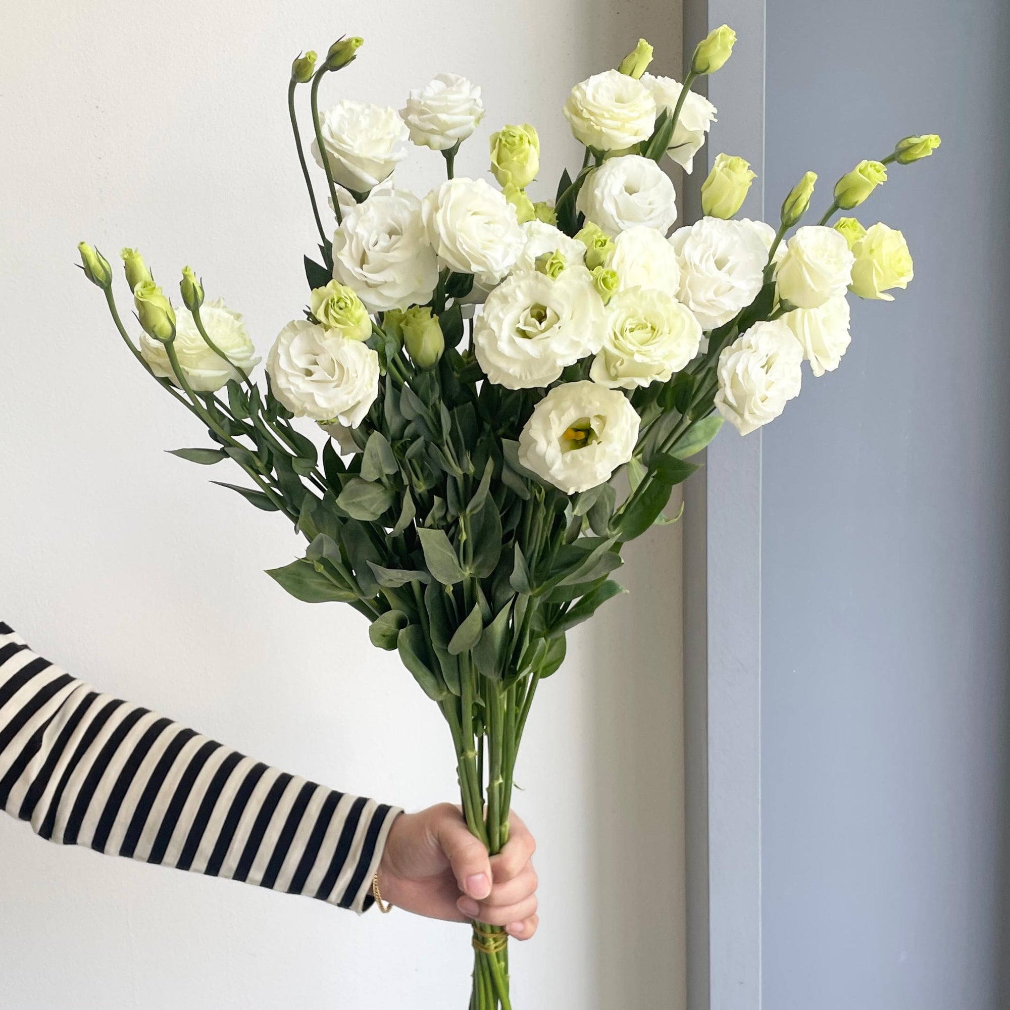 Lisianthus Double - White