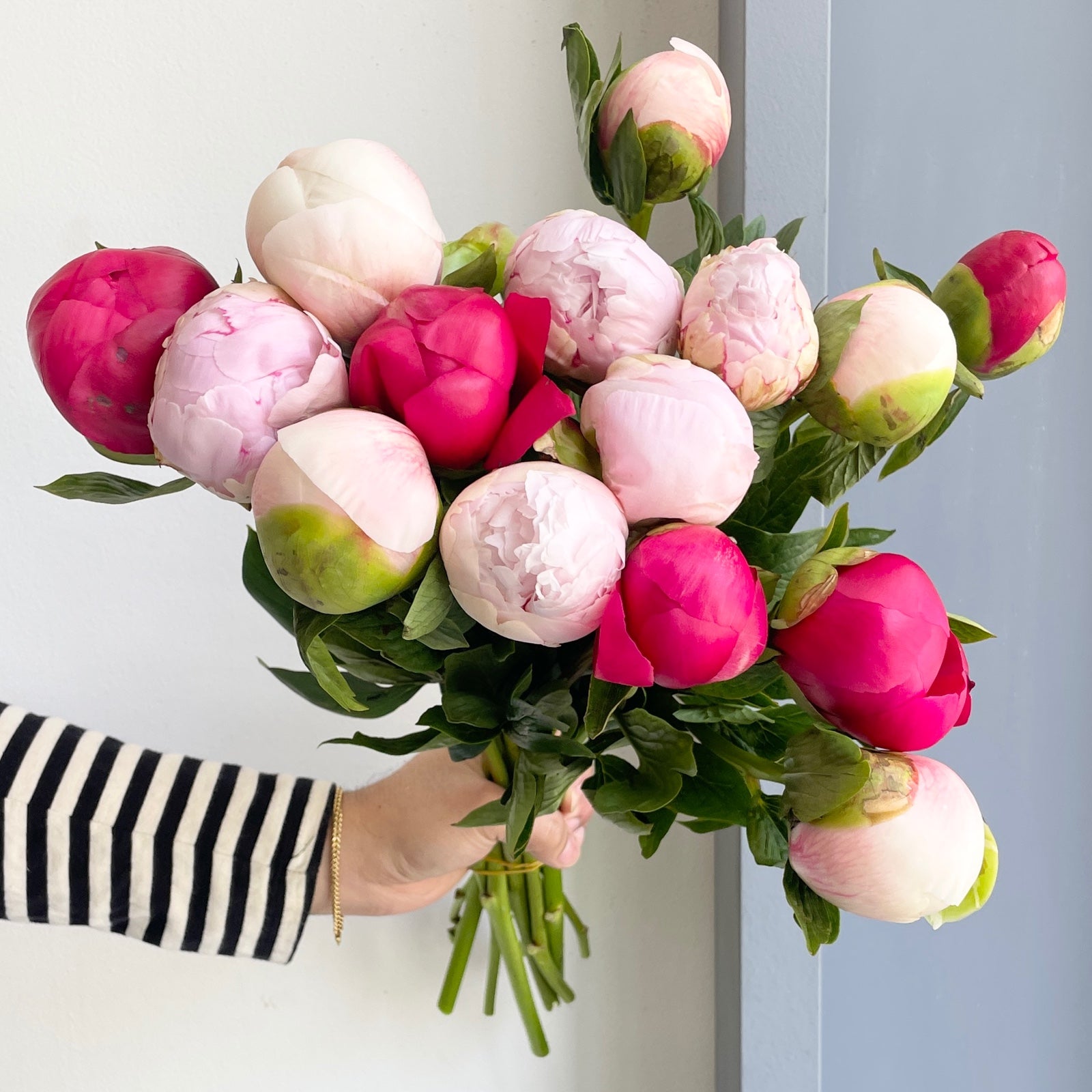 Peonies - Bloom Crush Mix