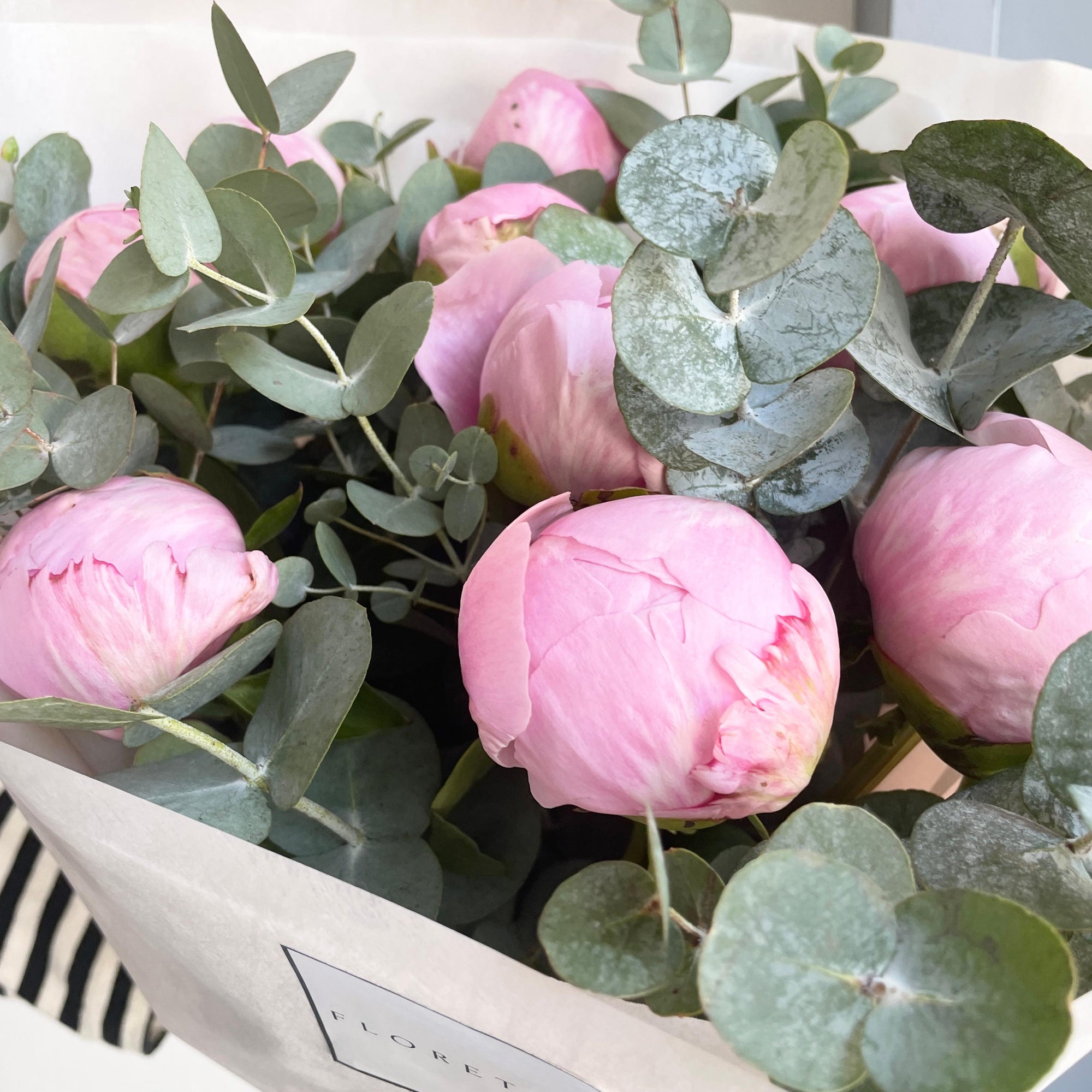Peonies - Daydream Cheeks