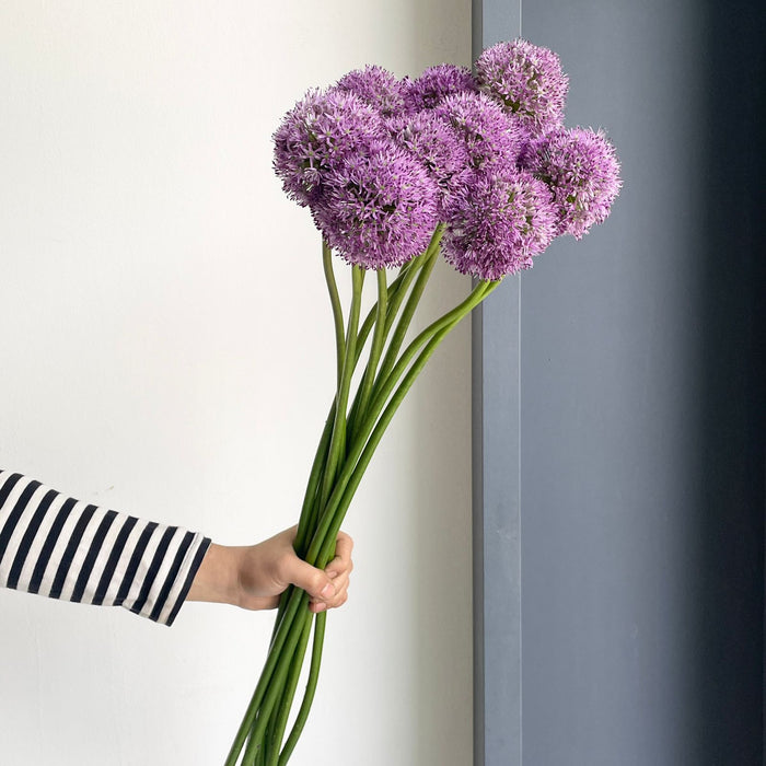 Florette_Flower_Market_Purple_GLADIATOR_Allium_85cm_market_flowers_2024-04-28 