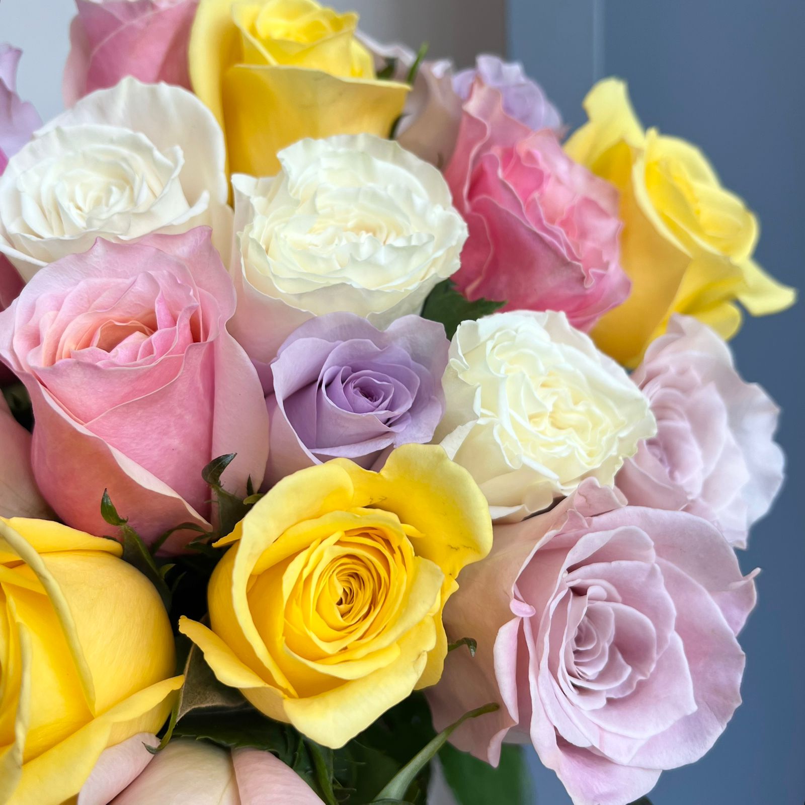 Roses Mix - Pastel Swirls