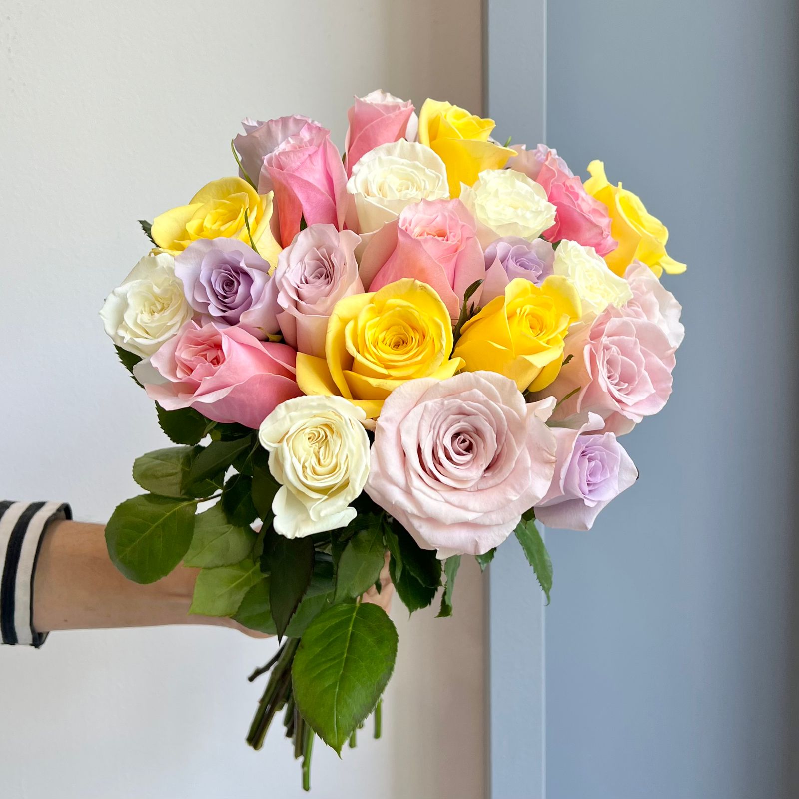 Roses Mix - Pastel Swirls