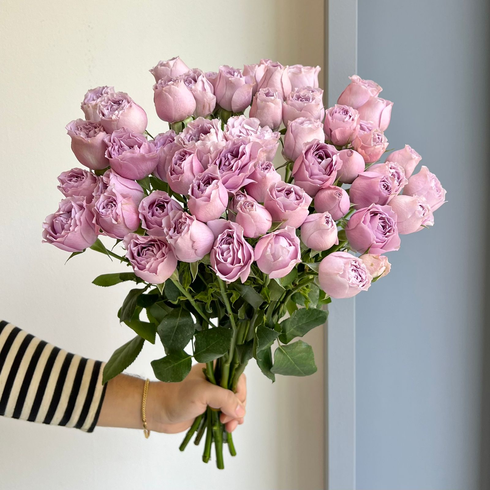 Spray Roses - Lavender Bubble