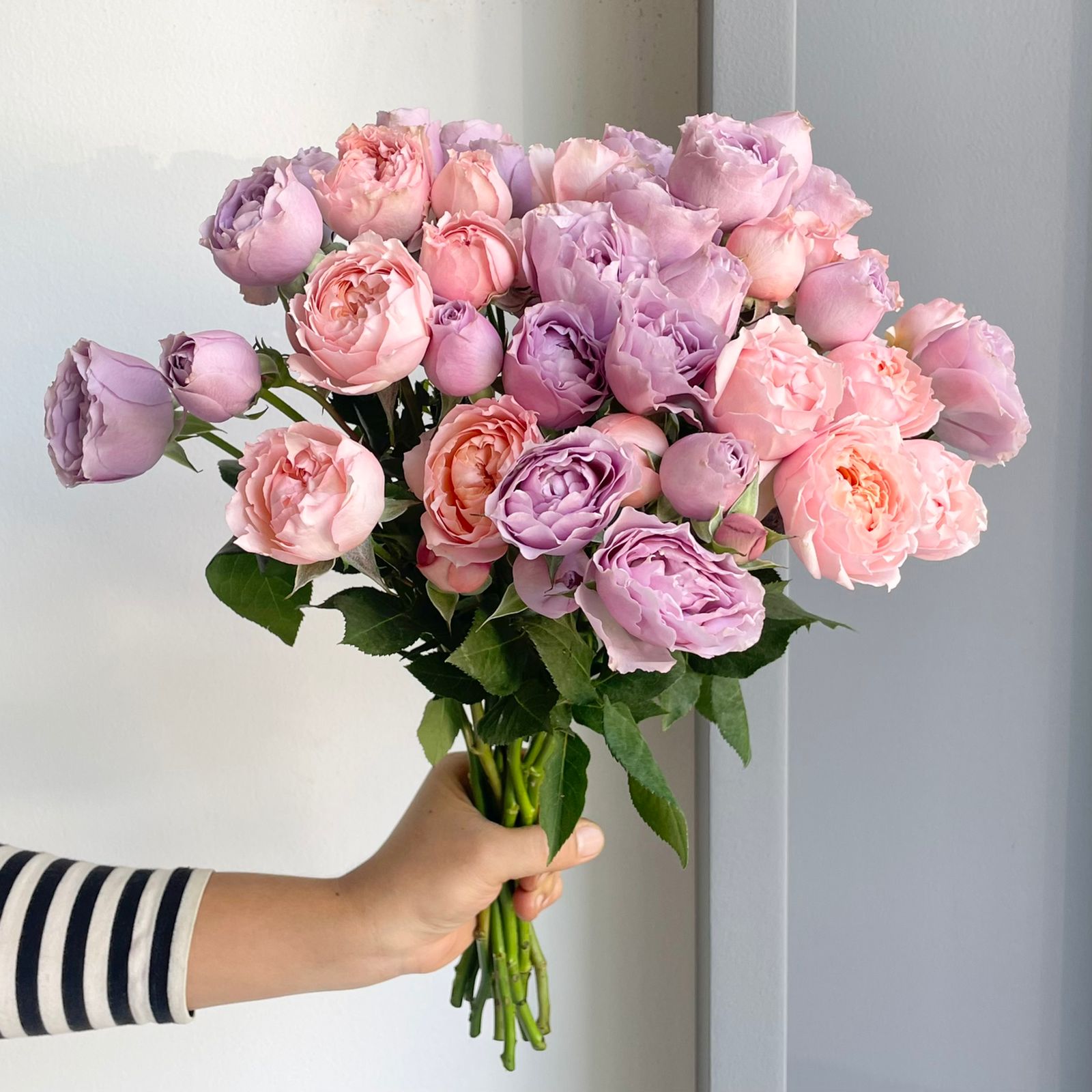 Spray Roses - Lavender Dreams Mix