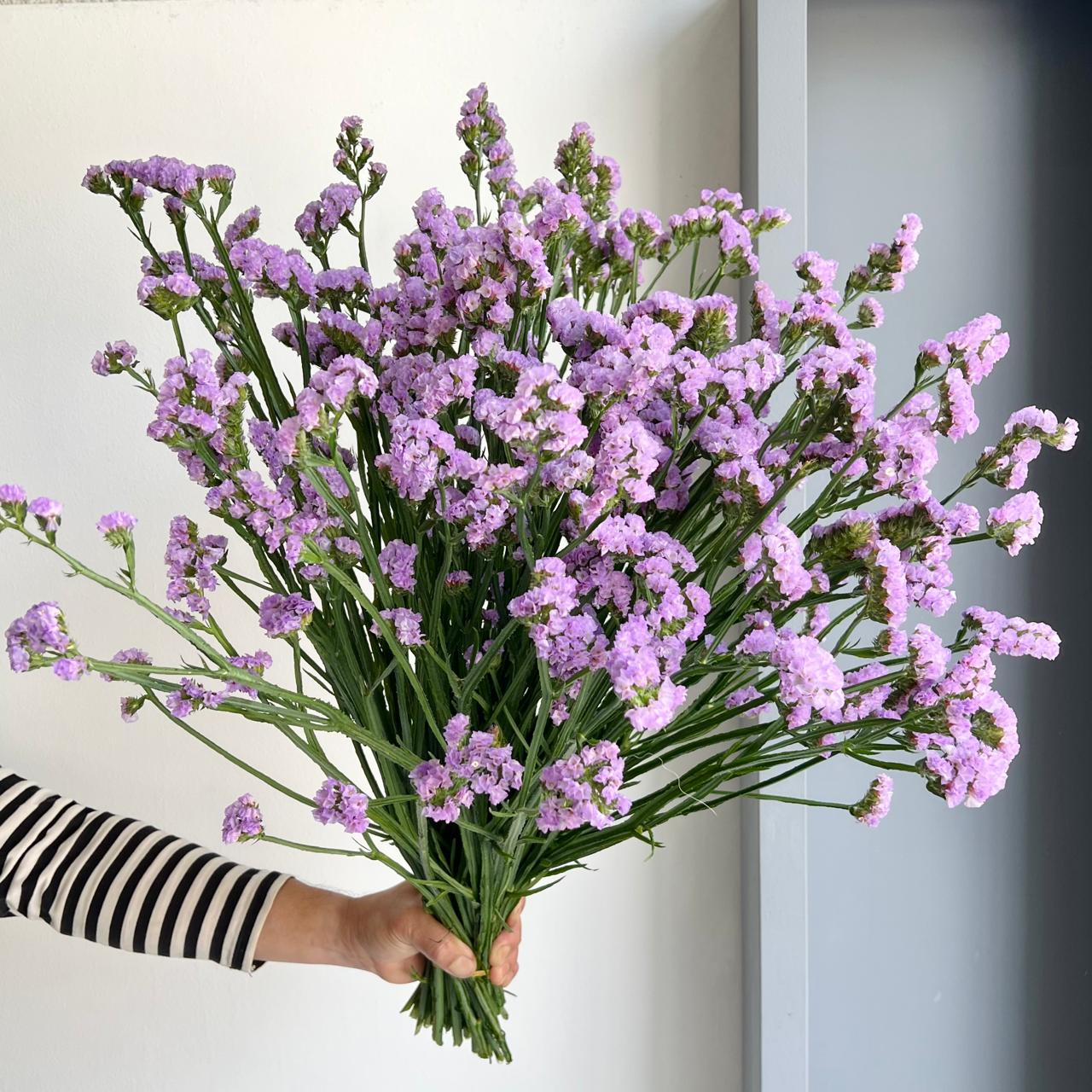 Florette_Flower_Market_Statice_Atlanta_Sun_Birds_Lavender