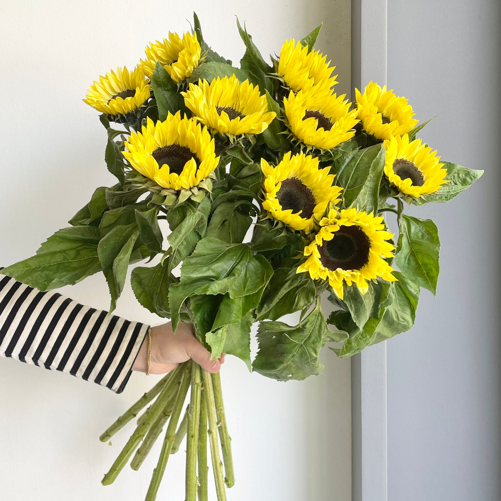 Sunflowers - Sunrich Summer Limoncello
