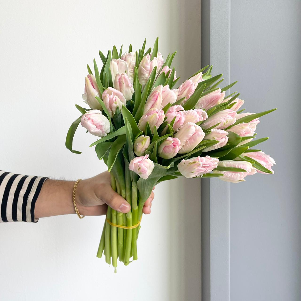 Tulips - Cabanna Pink
