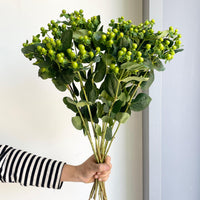 Florette_Flower_Markey_Hypericum_Berries_Green-01-06-2025